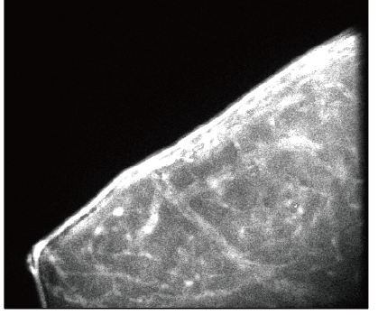 化学・生物学への応用